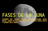 Fases de La Luna Elaborado Por Alfonso