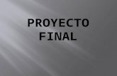 Proyecto Final[1]