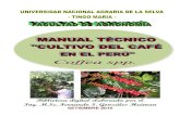 1 Cultivo de Café en El Perú