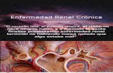 Enfermedad Renal Crónica 0