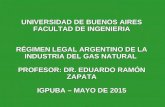 2 Igpuba - Regimen Legal de Gas Natural- Fac de Ingenieria Mayo de 2015
