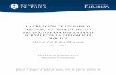 LA CREACIÓN DE UN BARRIO PERUANO EN ARGENTINA: UN PRODUCTO PARA FOMENTAR O FORTALECER LA DIPLOMACIA PÚBLICA