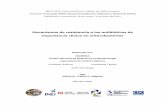 Mecanismos de resistencia a los antibioticos en enterobacterias.pdf.pdf