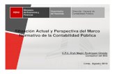 Marco Normativo de La Contabilidad Publica - Eryk Rodriguez