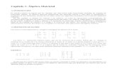 Álgebra Matricial (Parte I)