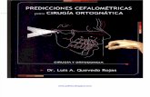 Predicciones Cefalometricas Para Cirugia Ortognatica