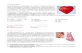 Epidemiologia de Enfermedades del aparato Cardiovascular