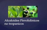 Alcaloides Pirrolidinicos