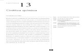 Cinetica quimica 13.pdf