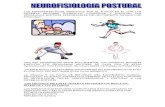 Aaa Neurofisiologia Postural Correo