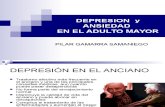 Depresion en El Adulto Mayor (Pptminimizer)