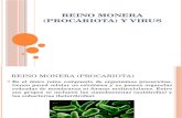 Reino Procariota Monera y Virus