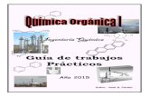 Guia Quimica Organica I 2015