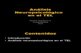 Análisis Neuropsicológico en El TEL