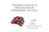 Perpectivas Produccion Arandanos Chile