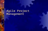 Agile Proyect Management