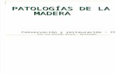 Patologia de La Madera