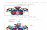 Carpeta Pedagogica 2012 (2)