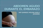 Abdomen Agudo Durante El Embarazo