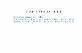 CAPITULO III - Esquemas de Comercialización en El Sector Del Gas Natural