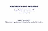 Metabolismo Del Colesterol 2004 (1)