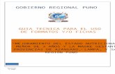 MANUAL TECNICO OPERATIVO DEL PROFESIONAL FACILITADOR DISTRITAL.docx