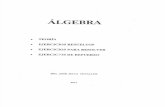 Libro Algebra1 SILVA