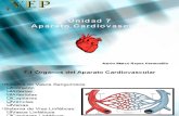 Generalidades sistema cardiovascular