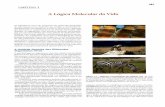 Bioquimica - Lehninger.pdf
