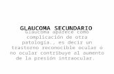 Glaucoma Secundario