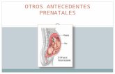 Otros Antecedentes Prenatales