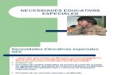 Necesidades Educativas Especiales NEE( Ps. Edu.).