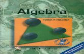 Álgebra - Teoría y Práctica