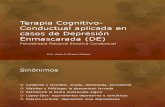 Terapia Cognitivo-Conductual Aplicada en Casos de Depresión Enmascarada