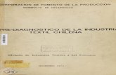 pre-diagnostico de la industria textil chilena.pdf