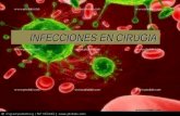 Infecciones en Cirugía - Dr. Serrano 2013.ppt