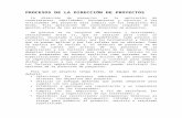 PROCESOS DE LA DIRECCIÓN DE PROYECTOS.docx
