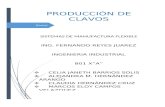 Producción de Clavos