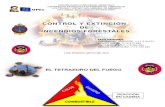 Diplomado - Incendios Forestales.ppt