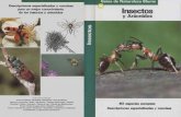 Insectos y Arácnidos - Www.alive.org