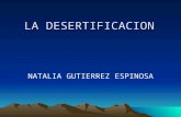 La Desertificacion