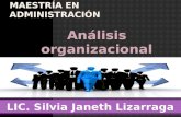 analisis organizacion liderazgo