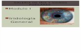 Galeria de Iris y Signos Pupilares Presentacion 2