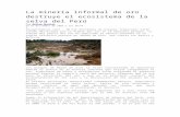 La Minería Informal de Oro Destruye El Ecosistema de La Selva Del Perú