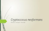 Criptoccocus neoformans