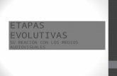 ETAPAS EVOLUTIVAS