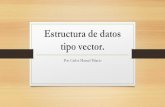 20 Taller Estructura de Datos Tipo Vector.pptx