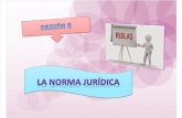 La Norma Juridica Exposicion grupo N° 2