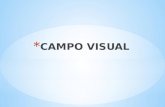 Campo Visual - Chuquiruna