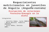 Requerimientos Nutricionales en Juveniles de Anguila (Anguilla[1][1]